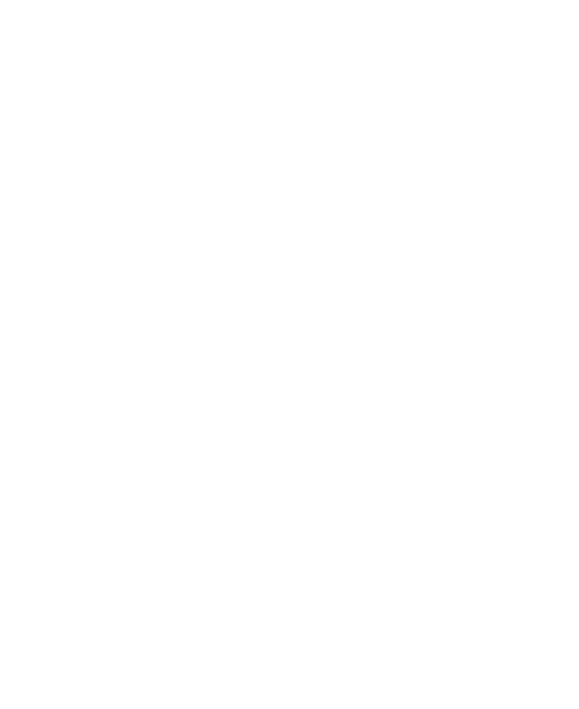 БК «Тверь»